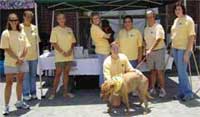 coastal pet rescue at the savannah sand gnats